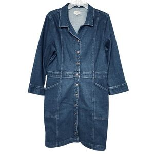 Ann Taylor Classic Dark Denim Button Front Dress Long Sleeve w/ Pockets Size 16